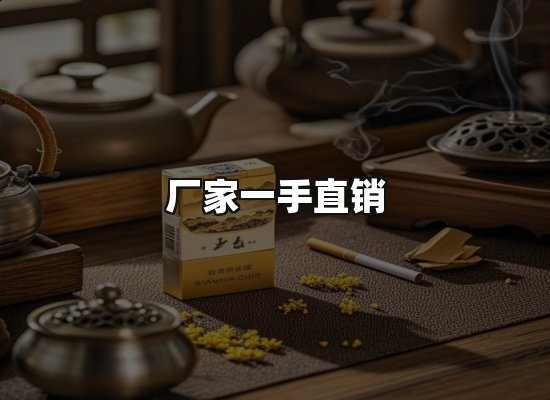 专业优势